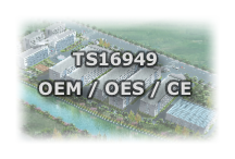 TS16949
OEM / OES / CE
